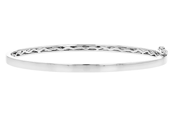 H290-99830: BANGLE (D207-32585 W/ CHANNEL FILLED IN & NO DIA)